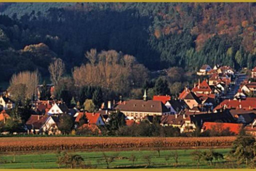Am Dantzwaj Lägenhet Lembach Exteriör bild