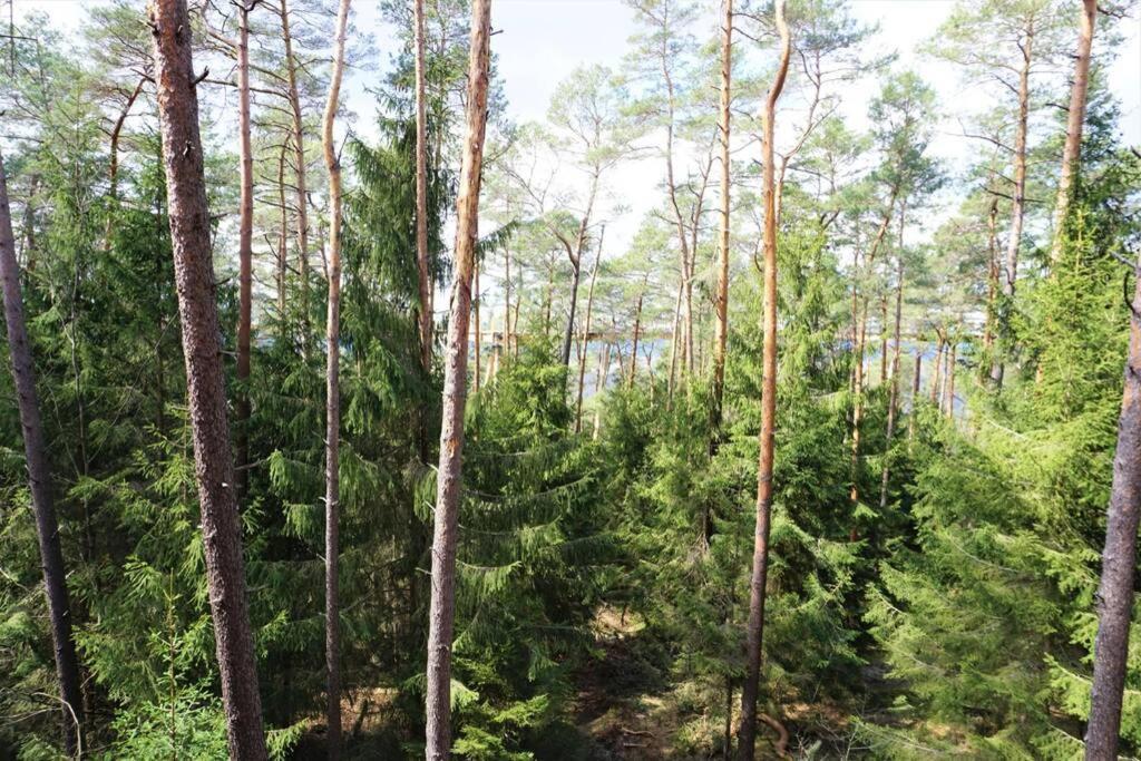 Am Dantzwaj Lägenhet Lembach Exteriör bild